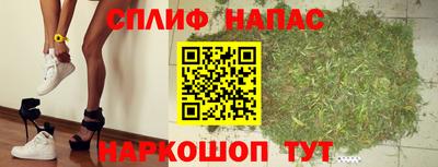 крисы Гагарин