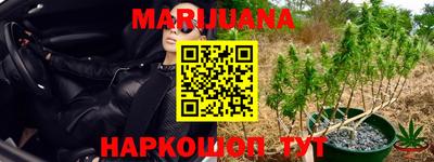 крисы Гагарин