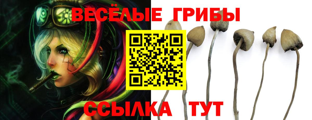 Псилоцибиновые грибы мухоморы Обь